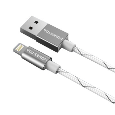 ONESTDA 苹果6接口100cm数据线 USB充电器