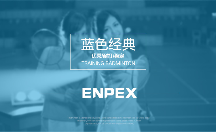 ENPEX乐士高级训练羽球NO.200 (12只装）