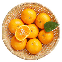 美国金手指无籽黑提 2斤装怎么样 好不好-第1页