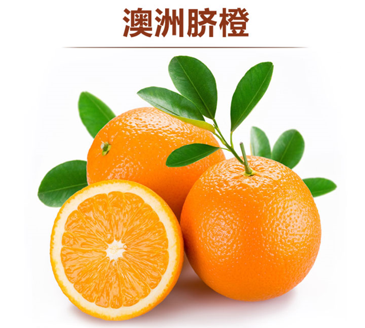澳桔,(第15页)_大山谷图库