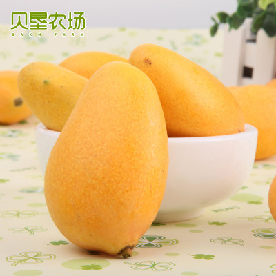 贝垦农场越南黄芒芒果新鲜水果大黄皮金黄芒总重约2.5kg 裸果重2.25kg